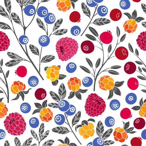 Vector image raspberry, cloudberry, cranberry and blueberry on white