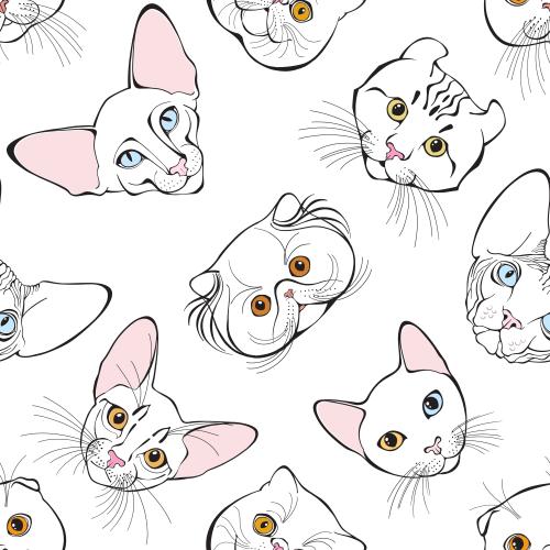 Vector image cat faces of different breeds on white